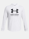 Under Armour UA Rival Terry Graphic Hood Sweatshirt
