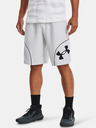 Under Armour UA Perimeter 11'' Short pants