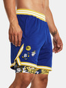 Under Armour Curry Mesh 2 Short pants