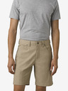 prAna Brion Short II Short pants