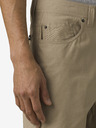 prAna Brion Short II Short pants