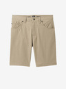 prAna Brion Short II Short pants