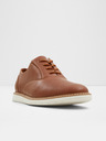 Aldo Waylen Oxford