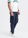 Ombre Clothing Trousers