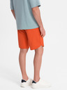 Ombre Clothing Short pants