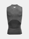 Under Armour HG Armour Comp SL Top