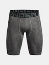 Under Armour HG Armour Lng  Short pants