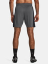 Under Armour Short pants