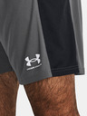 Under Armour Short pants