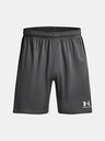 Under Armour Short pants