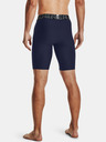 Under Armour Short pants