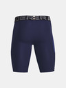 Under Armour Short pants