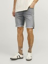 Jack & Jones Rick Short pants