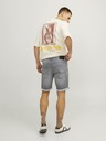 Jack & Jones Rick Short pants