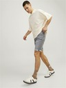 Jack & Jones Rick Short pants