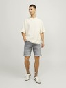 Jack & Jones Rick Short pants