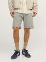 Jack & Jones Tony Short pants