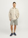 Jack & Jones Tony Short pants