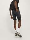 Jack & Jones Rick Short pants