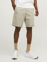 Jack & Jones Bowie Short pants