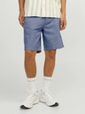 Jack & Jones Ace Short pants