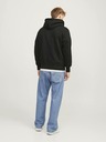 Jack & Jones Frederiks Sweatshirt