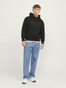 Jack & Jones Frederiks Sweatshirt