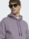 ONLY & SONS Ceres Sweatshirt