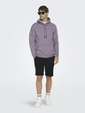 ONLY & SONS Ceres Sweatshirt