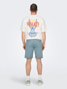 ONLY & SONS Peter Short pants