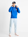 Celio University of Florida Sweatshirt