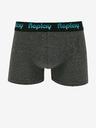 Replay Boxers 2 pcs