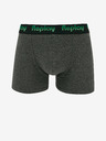 Replay Boxers 2 pcs