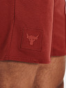 Under Armour Project Rock Terry Gym Shorts