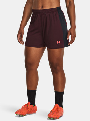 Under Armour UA W's Ch. Knit Shorts