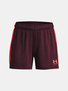 Under Armour Kids Shorts