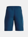 Under Armour UA Woven Graphic Kids Shorts