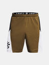 Under Armour Curry Splash Short pants