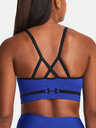 Under Armour UA Seamless Low Long Sport Bra