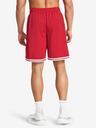 Under Armour UA Perimeter Short pants