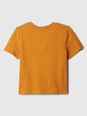 GAP Kids T-shirt