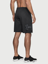 Under Armour UA Tech Graphic Short pants