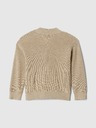 GAP Kids Sweater