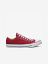 Converse Chuck Taylor All Star Sneakers