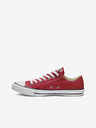 Converse Chuck Taylor All Star Sneakers