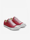 Converse Chuck Taylor All Star Sneakers