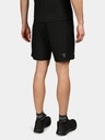 Kilpi Bray-M Short pants