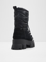 Aldo Nordica Ankle boots