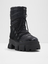 Aldo Nordica Ankle boots