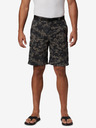 Columbia Silver Ridge Short pants